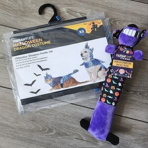 Halloween dragon costume and squeaker toy